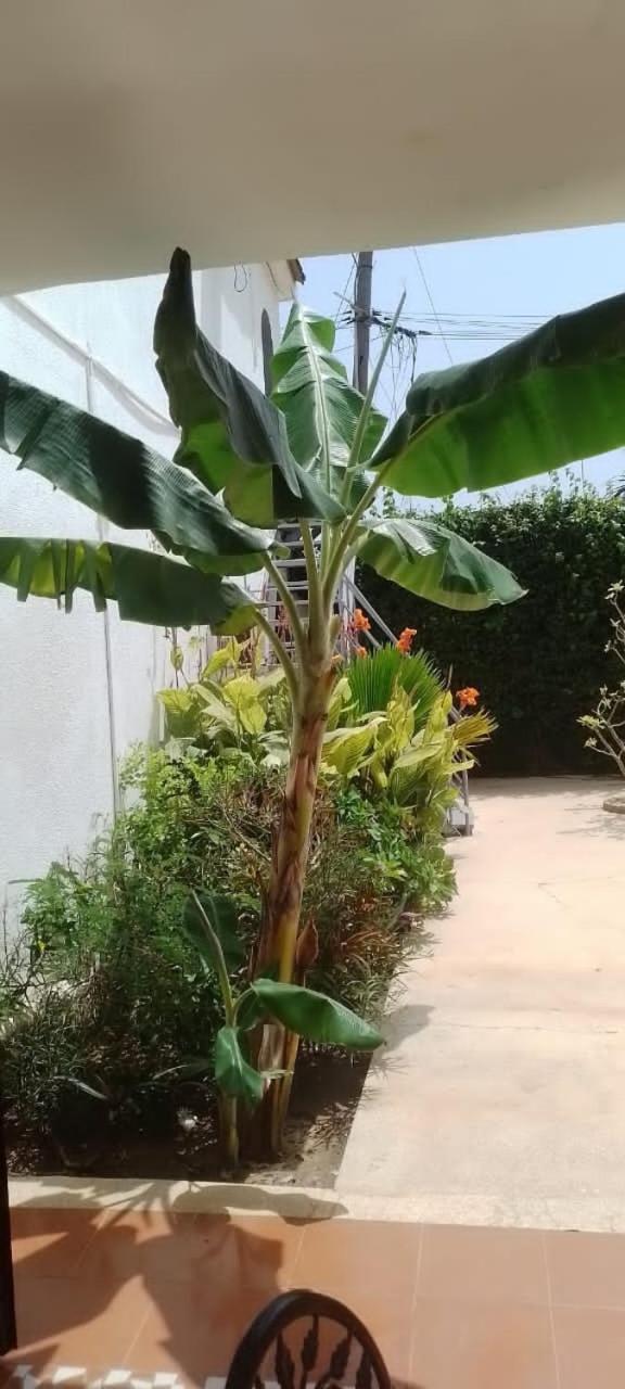 סאלי פורטודל Riad Cote Jardin מראה חיצוני תמונה